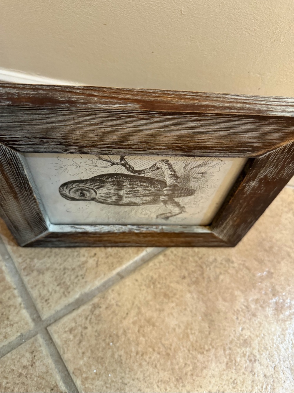 “The Little Owl” Picture In Rustic Wood Frame Wall Art Print 9*8*1 2016 - Picture 4 of 4